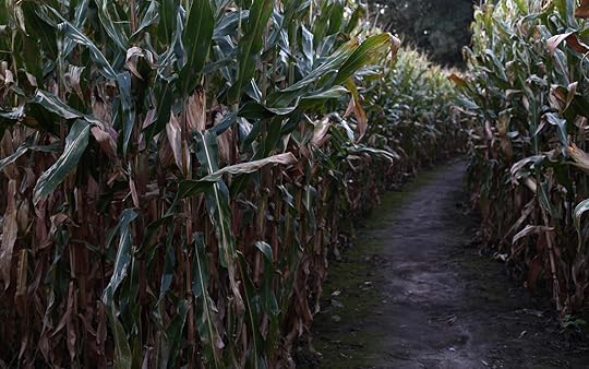 The Country's Creepiest Haunted Corn Mazes for Halloween | Travel + Leisure