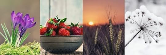 four seasons side by side