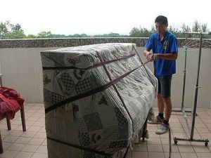 博猫娱乐客户端下载