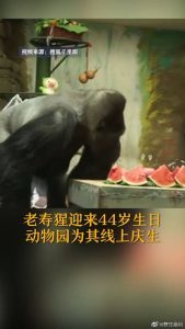 博猫娱乐客户端下载