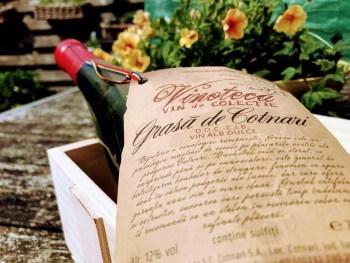 Grasă de Cotnari - 1989