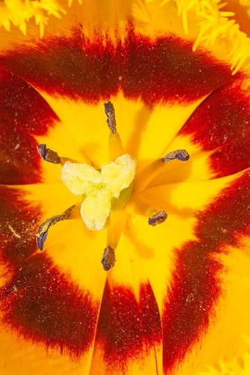 Selling Nature Photography Prints