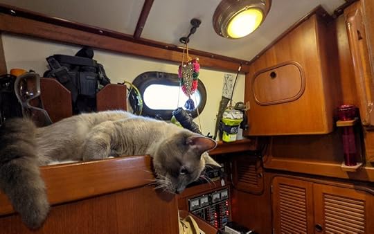 Beluga's new digs