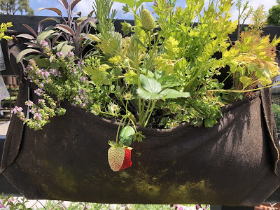 strawberries and herbs