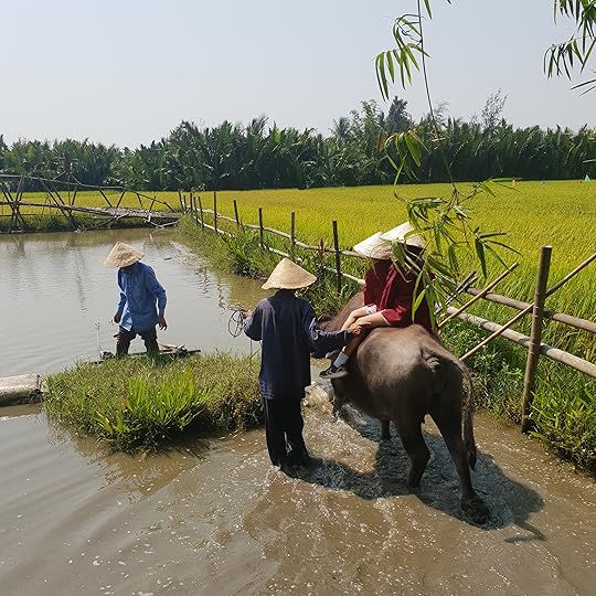 RidingWaterBuffalosNHYM