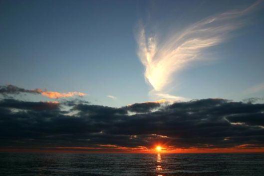 Unfurled