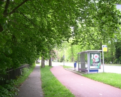 Dinsdagmiddag wandeling
