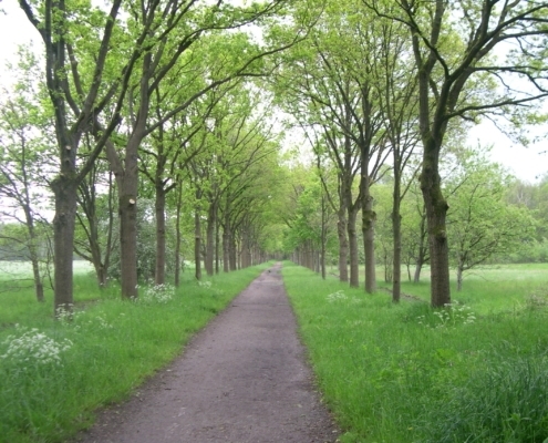 Dinsdagmiddag wandeling
