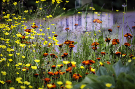 beyond the city lights