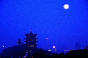 博猫娱乐客户端下载