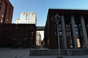 博猫娱乐客户端下载