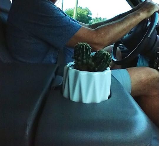 1,100 Mile Road Trip - worldly goods in tow