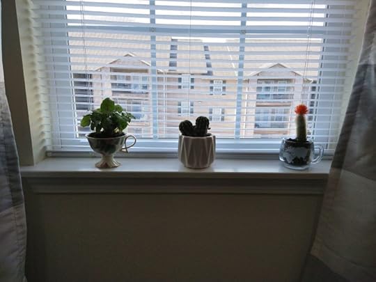 1,100 Mile Road Trip - To Set Up A Home