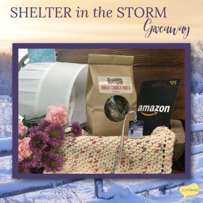 Shelter in the Storm JustRead Giveaway