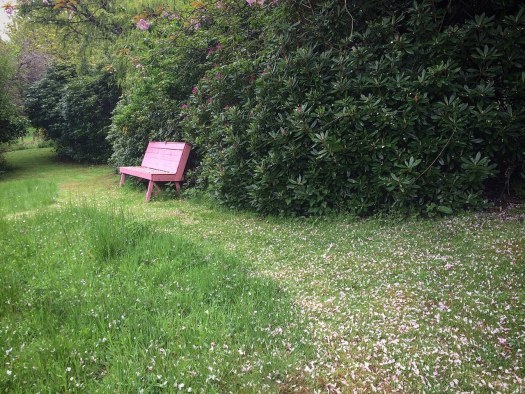 pink bench and pink petals