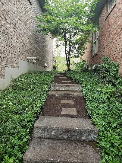 Fresh Starts for May