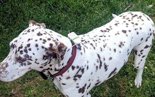 Roundup: Five Long-Range LoRa Projects to Explore