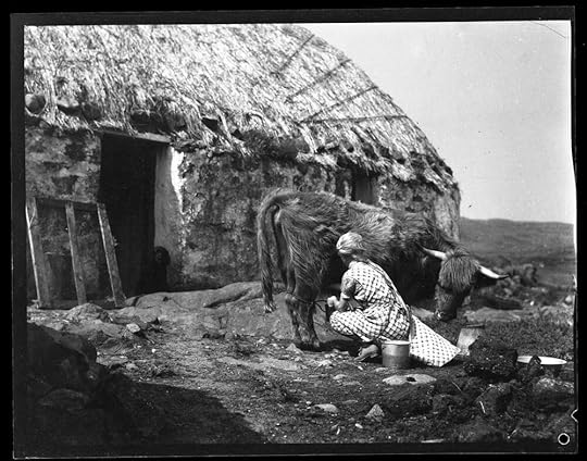 morton-milking-cow-1018-a4d3b1d2372d193767395f89c3d28c77