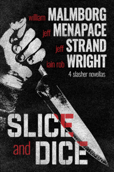 V1_SliceAndDice