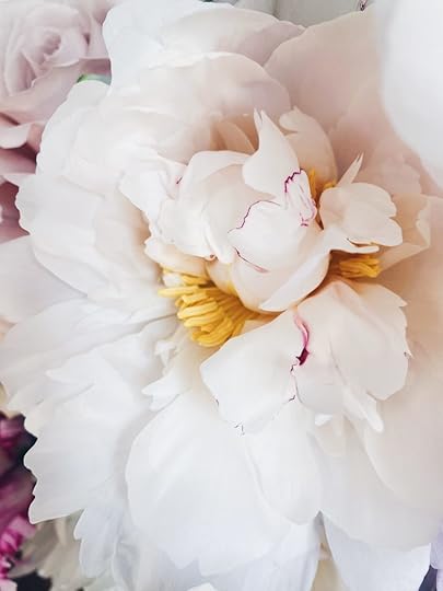 Let It Be Sunday, 324!