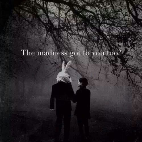 Dark Rabbit Hole Alice In Wonderland Quotes. QuotesGram