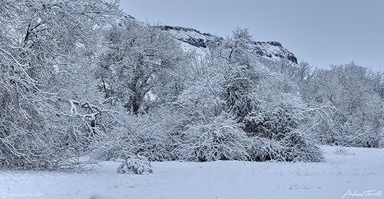 north table mountain golden in snow on a cold spring morning