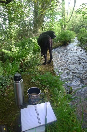 Down by the leat