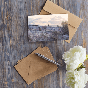 red deer greetings card
