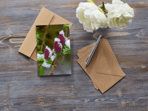 larch flowers greetings card