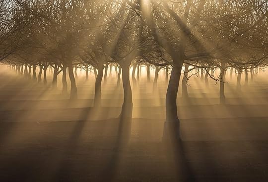 Photography by Alex Burke