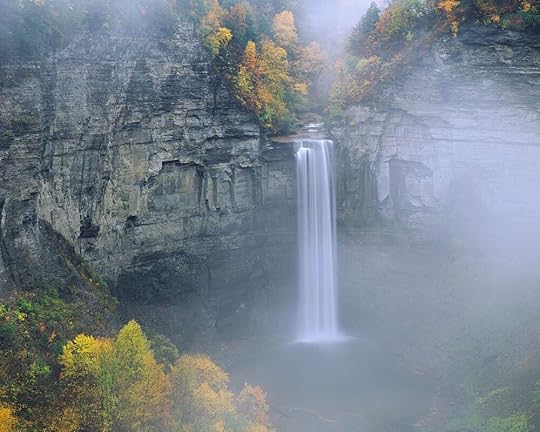 Photography by Alex Burke