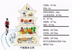 博猫娱乐官网
