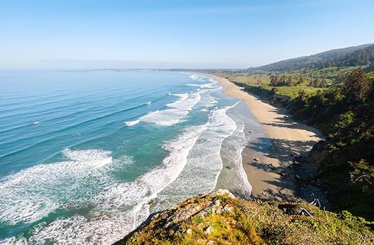 Morning at the Beach at Redwood National Park