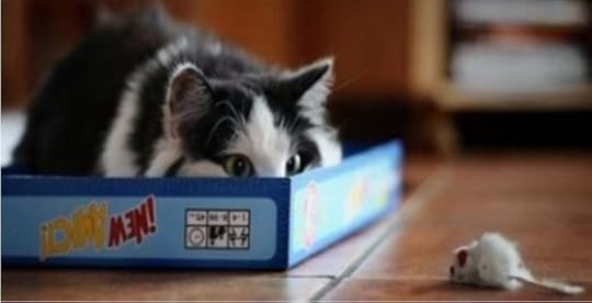 cat hunting