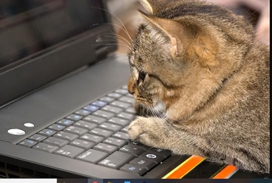 cat typing