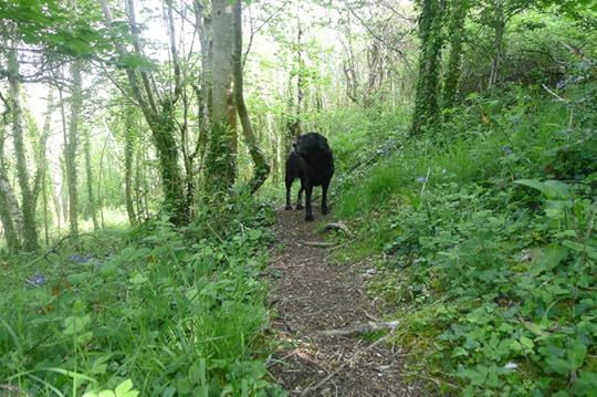 path 4