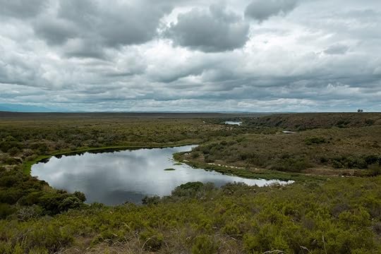 Bontebok National Park South Africa, South African road trip