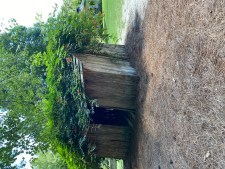 Shed - Adventure Story