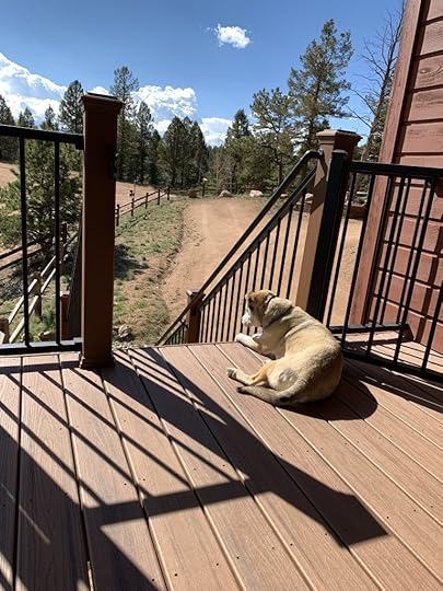 Mountain Life