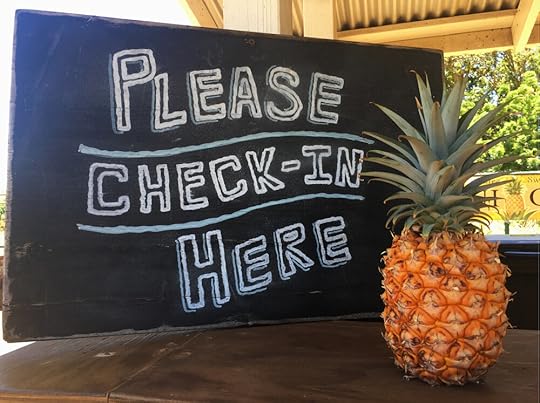 It’s never a bad time to check in for pineapples, even if they are a bit overzealous with the hyphenation.