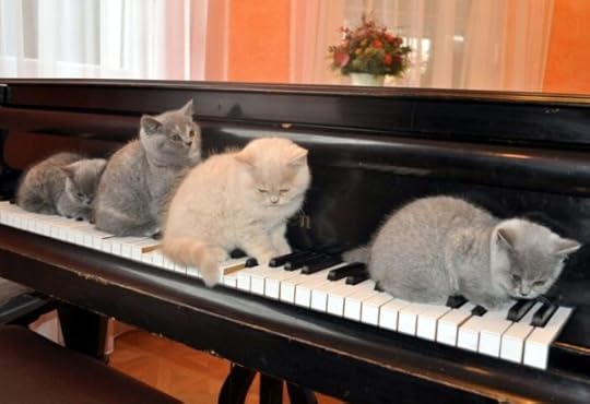 kittens-piano
