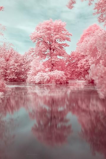 Turning Nature into Colorful Infrared Landscapes