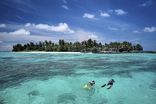 People snorkeling at Raffles Maldives Meradhoo one of the Maldives resorts