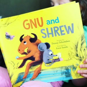 https://thebabybookwormblog.wordpress.com/2020/10/09/gnu-and-shrew-danny-schnitzlein/