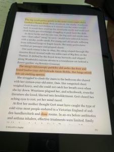 Narrating an audio book using a highlighted Ipad Kindle app