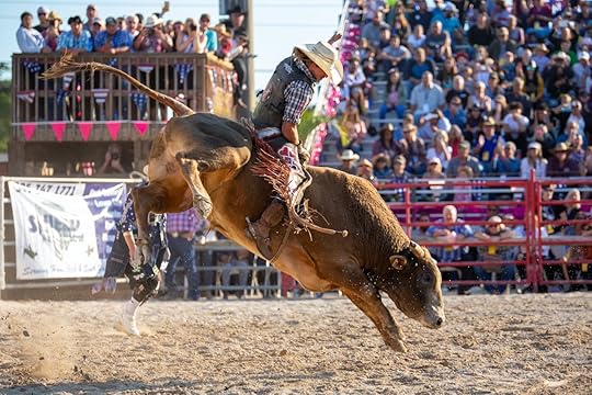 Homestead, Florida/USA - January 26, 2020: 71st Annual Homestead Championship Rodeo, unique western sporting event. Bull riding competition at Homestead Rodeo., August travel