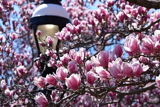 smithsonian-gardens-facebook, Smithsonian museums