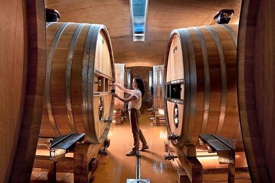 Curated Wine Experience, Franschhoek Wine Tram