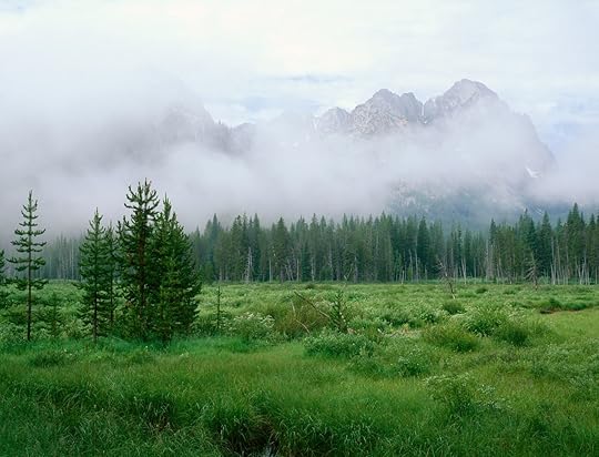 Rising,Mist,Along,The,Fishhook,Creek,Trail,,Sawtooth,Range,,Idaho, hikes in the Sawtooth