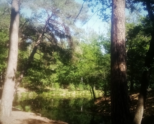 Zondagmiddag wandeling